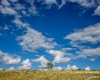 carrancas-minas-gerais44