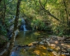 carrancas-minas-gerais50