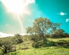 carrancas-minas-gerais52
