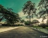 carrancas-minas-gerais71