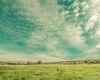 carrancas-minas-gerais75