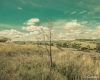carrancas-minas-gerais77