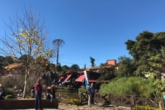 Monte Verde
