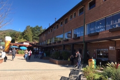 Monte Verde