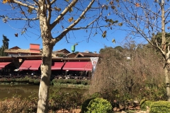 Monte Verde