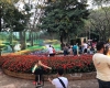 expoflora
