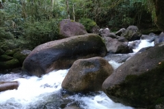 serrinha-do-alambari-15