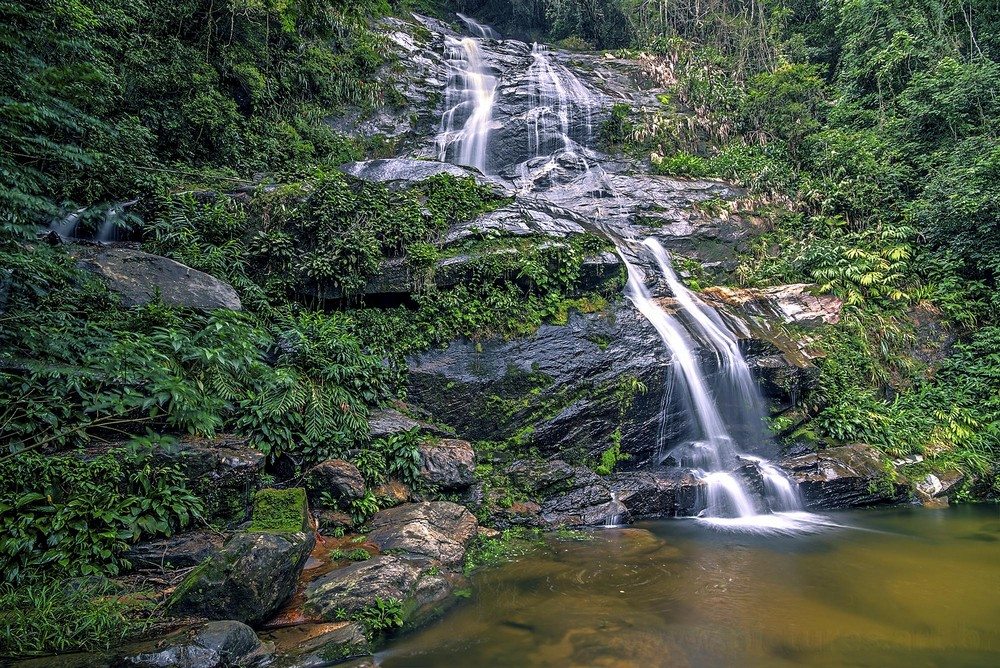 Floresta Da Tijuca Rio De Janeiro Melhores Destinos Do Brasil Floresta Da Tijuca Rio De Janeiro Melhores Destinos Do Brasil